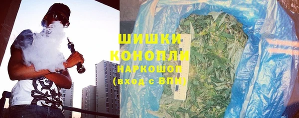 PSILOCYBIN Алзамай
